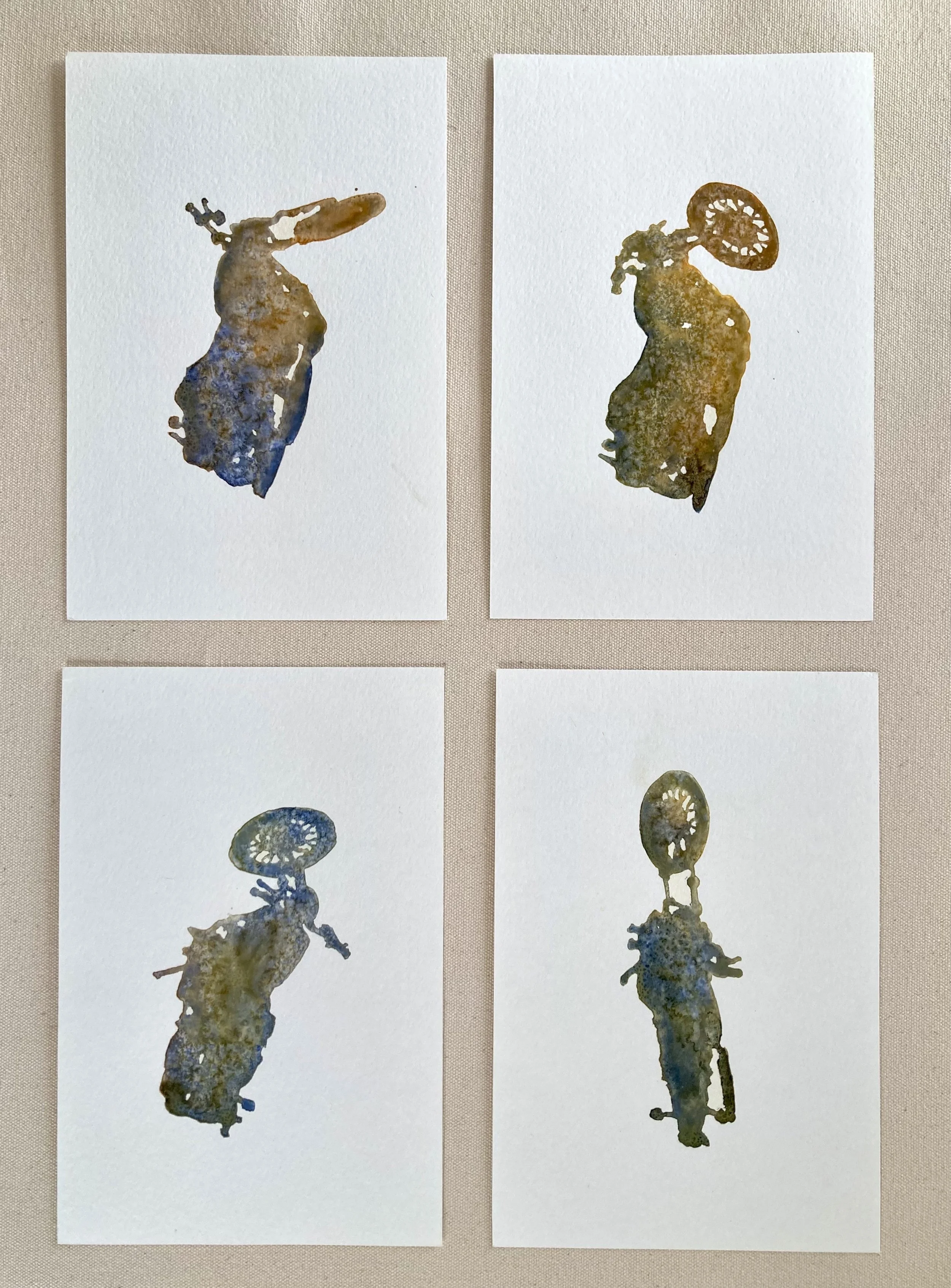 Motorcycle - Collection.jpeg