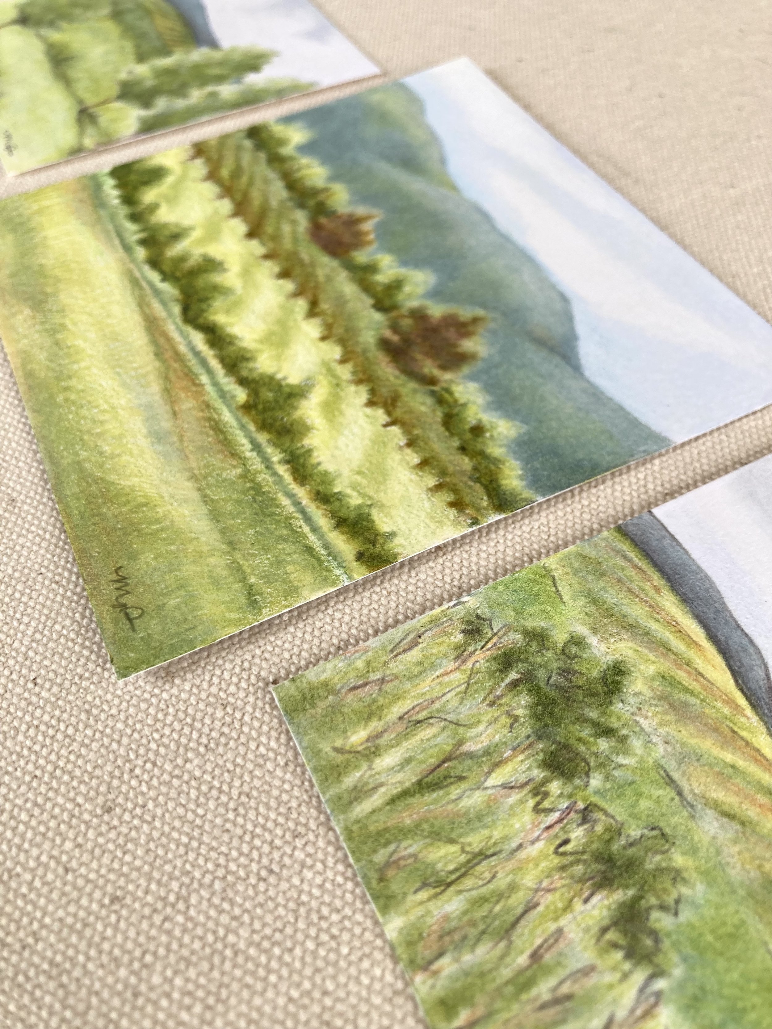 Barboursville Vineyard Set -Detail.jpeg