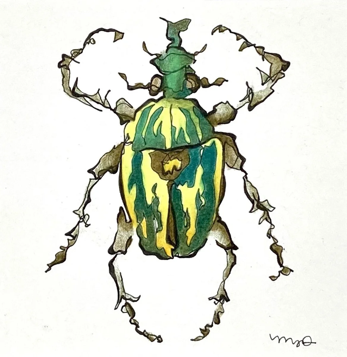 Megan Davies_Flower Beetle copy.jpg