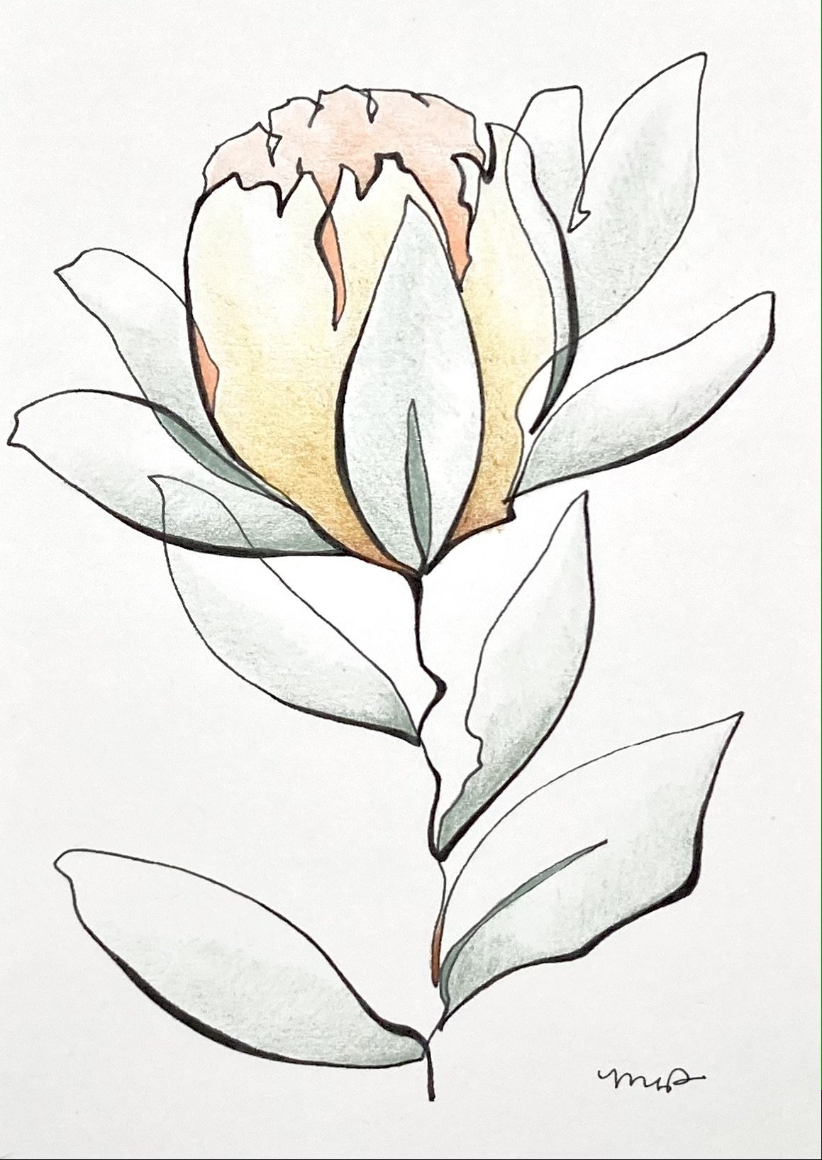 Protea Series No. 1.JPG