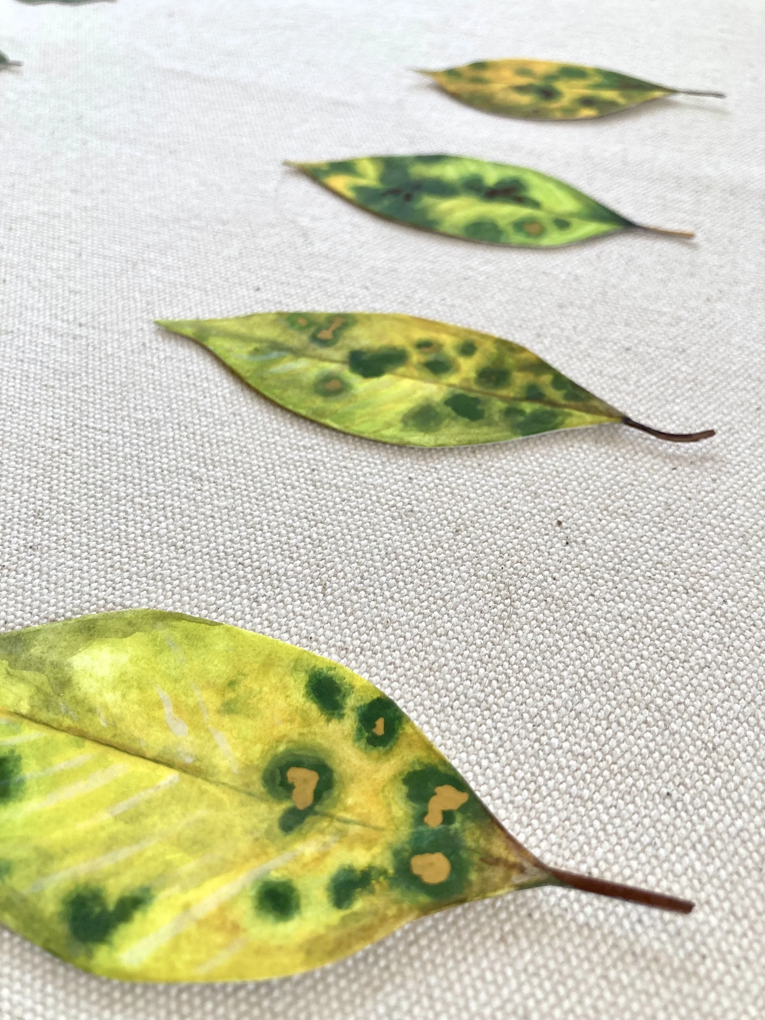 Leaves - Green 4.jpeg