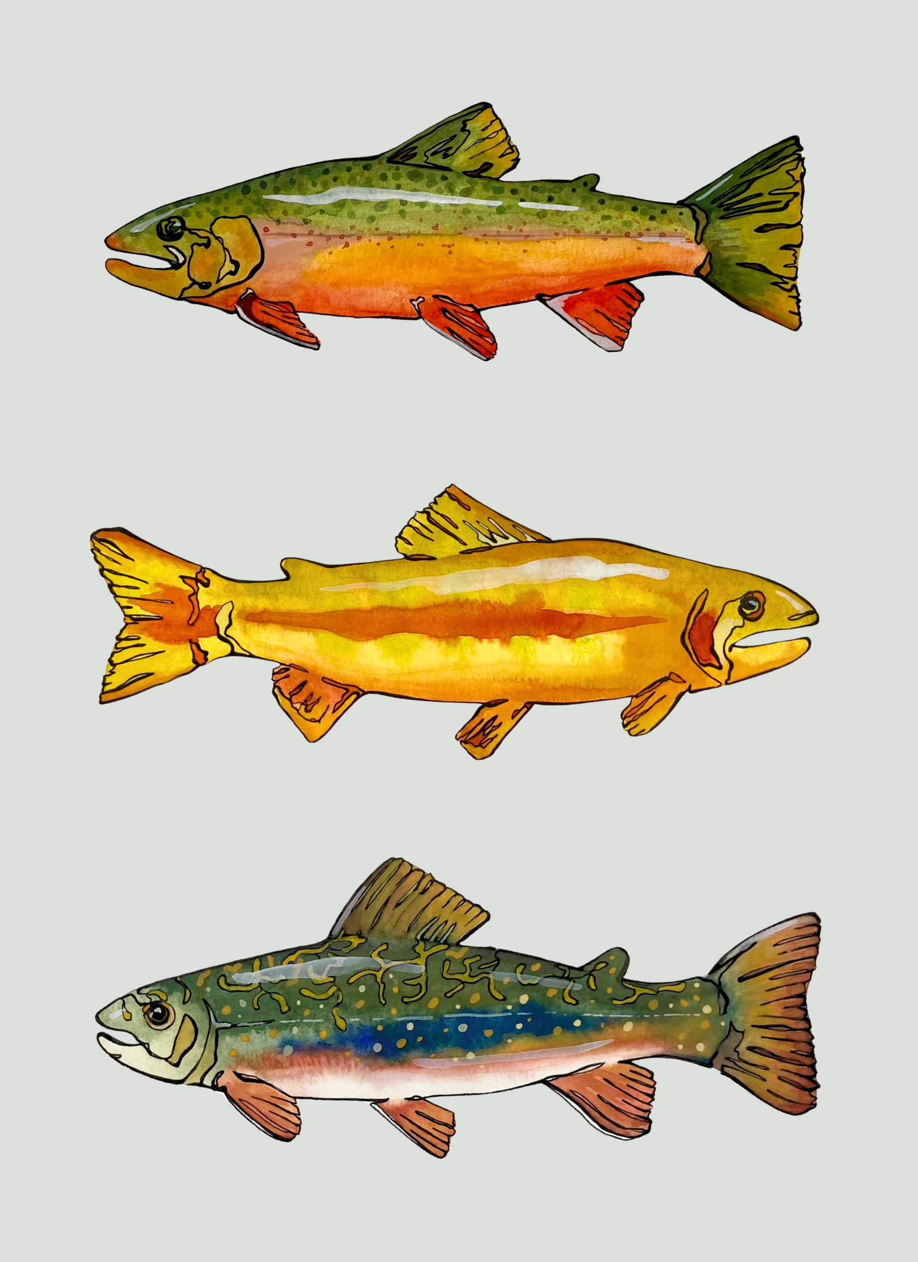 Coldwater Fish Card.png