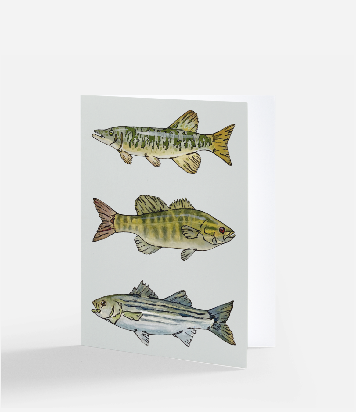 Warmwater Fish Card - Front.png