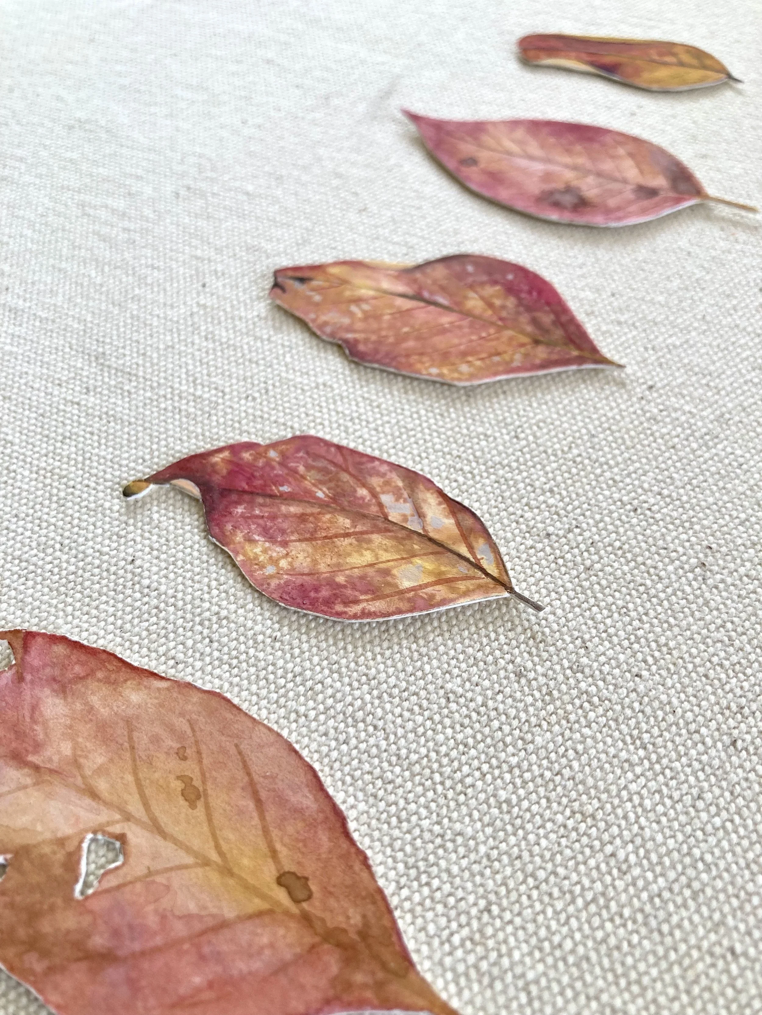 Leaves - Virginia Creeper 3.jpeg