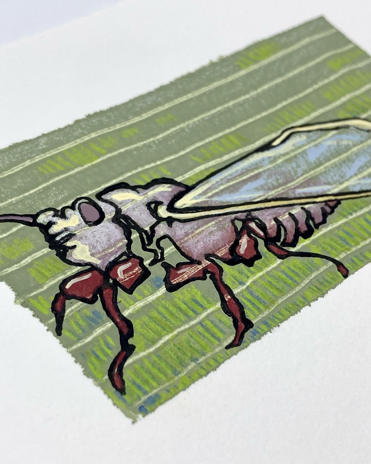 Brood Cicada - Detail.jpg