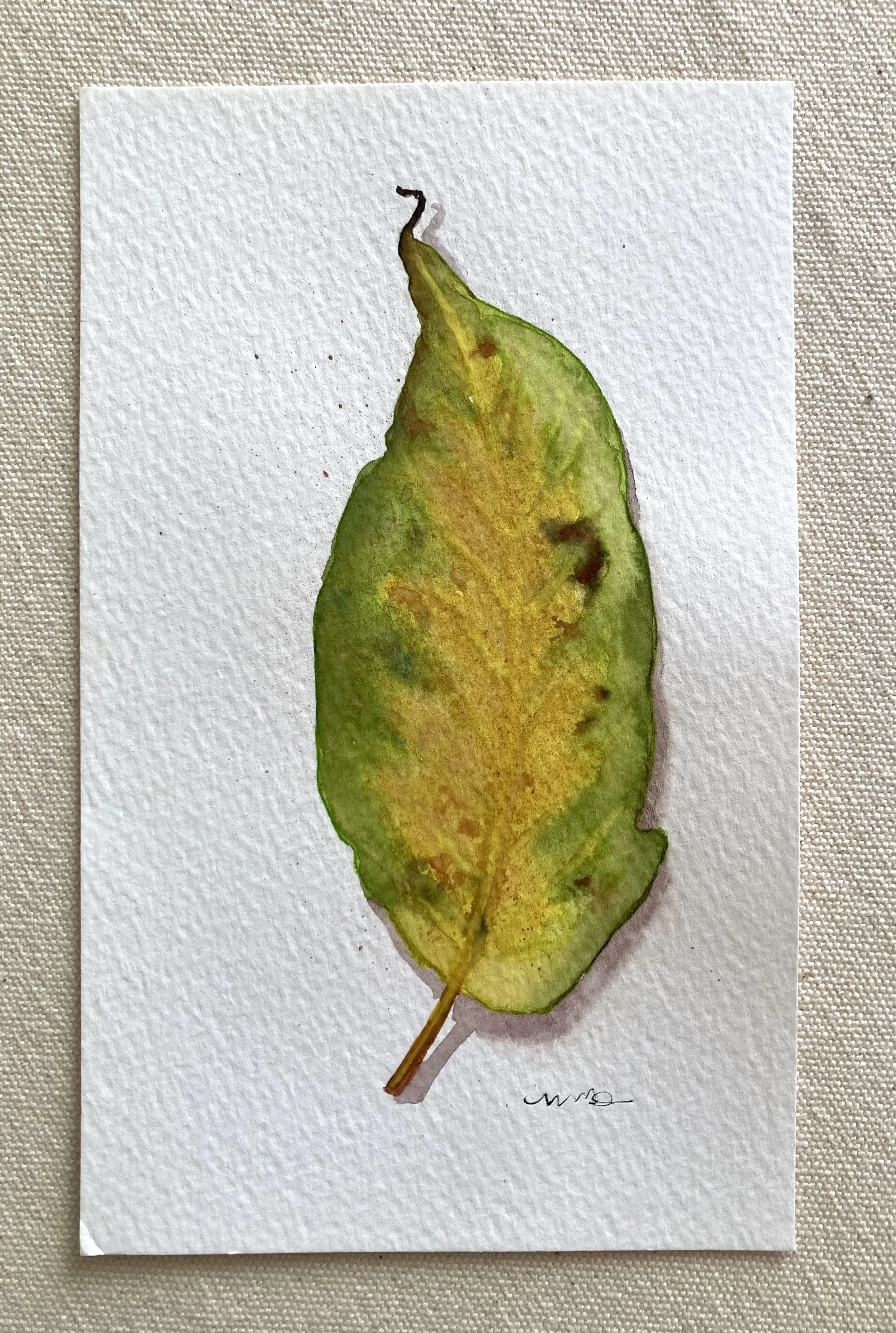 Gouache Leaf on Paper 4.jpeg