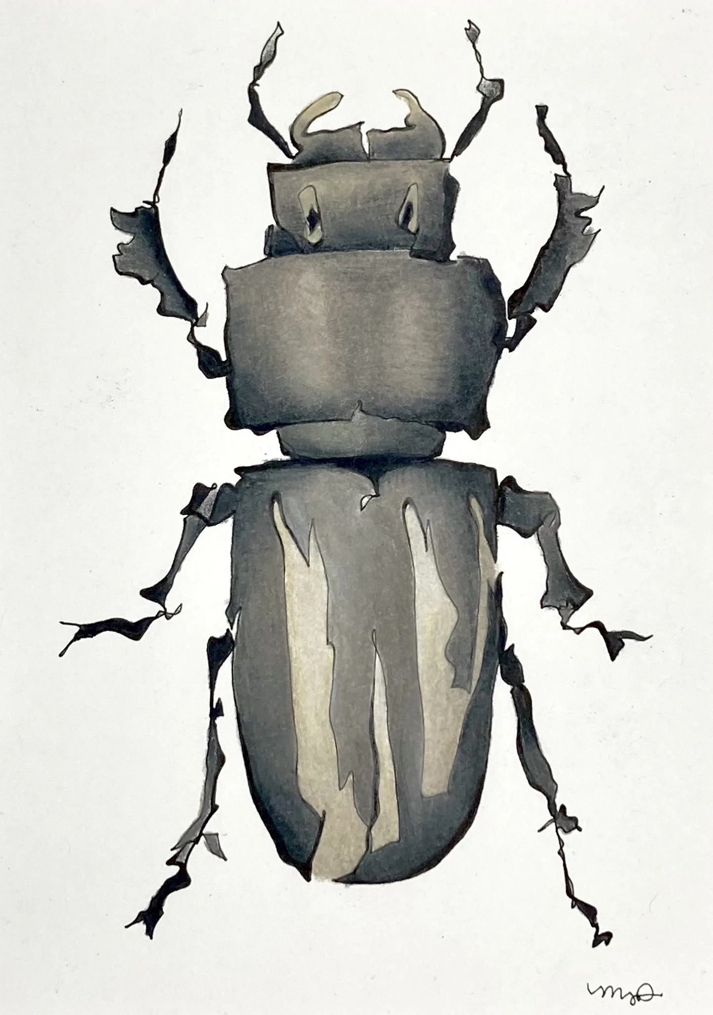 Megan Davies_Peg Beetle.jpg