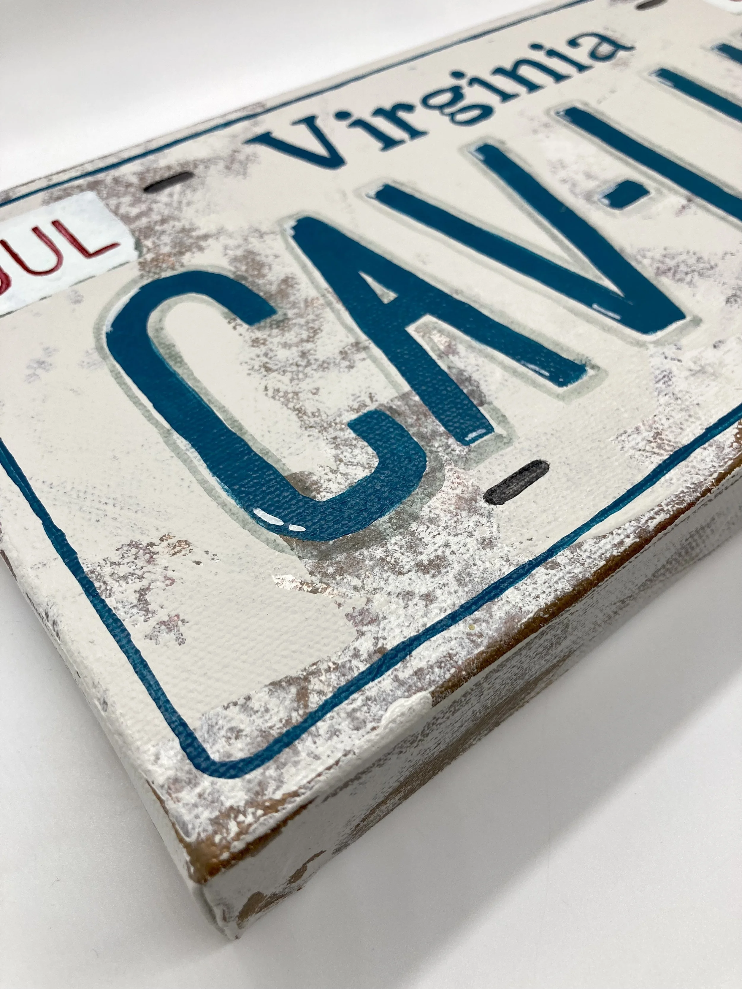 License Plate - Cav Luv Detail.jpeg