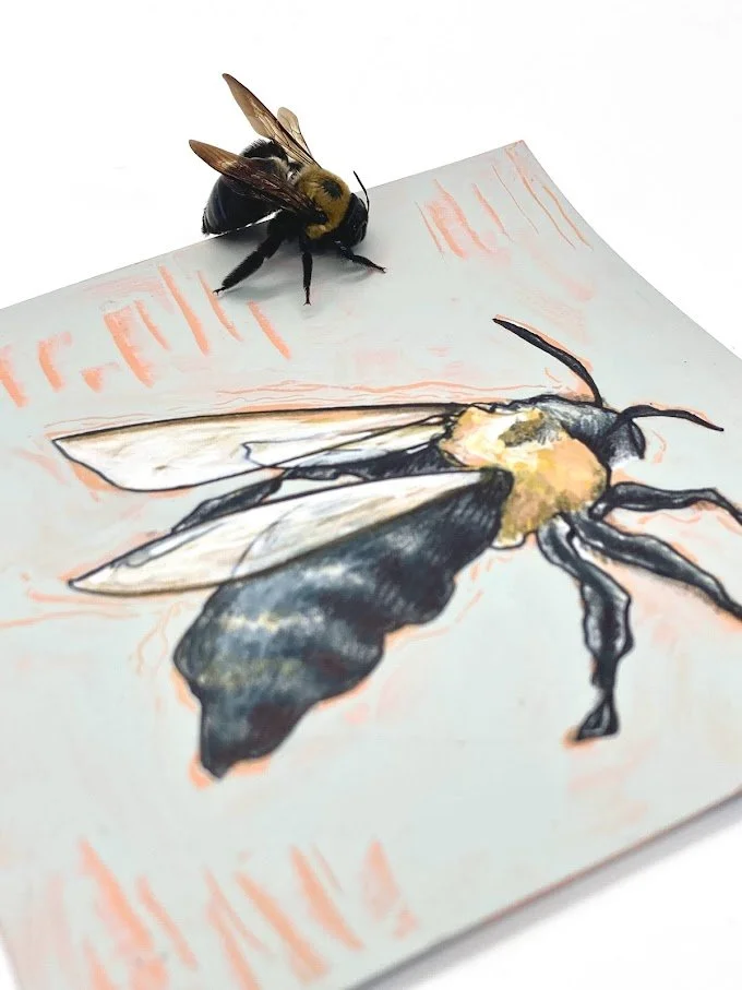 A bee resting on a detailed drawing of a bee on paper.