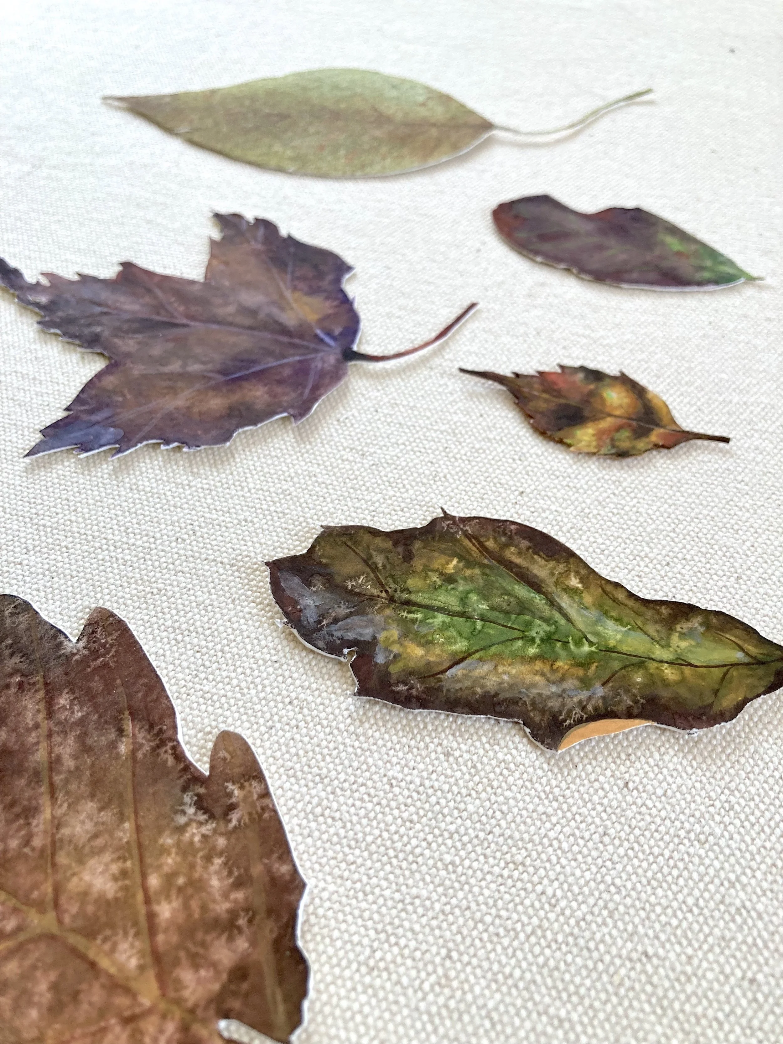 Leaves - Brown 3.jpg