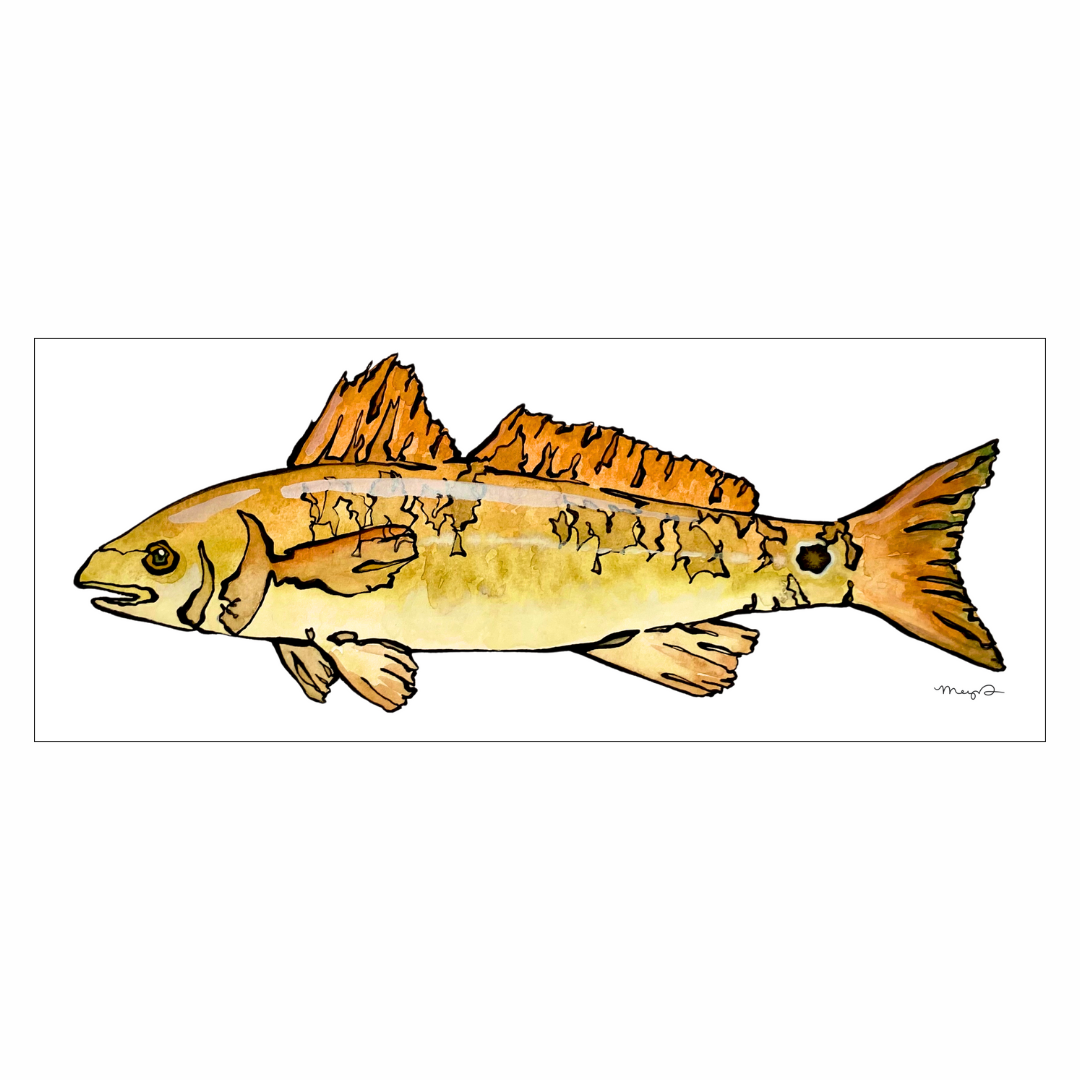 Redfish - Square.png