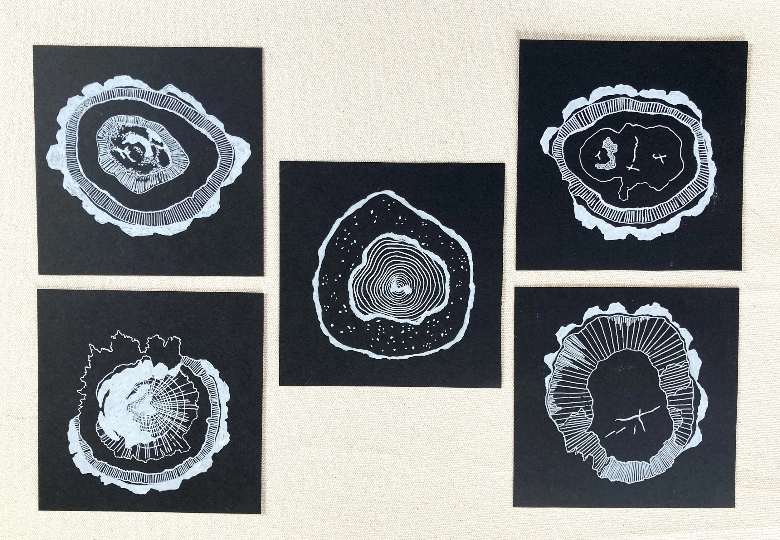 Black and White Woodgrain Study Set.jpeg