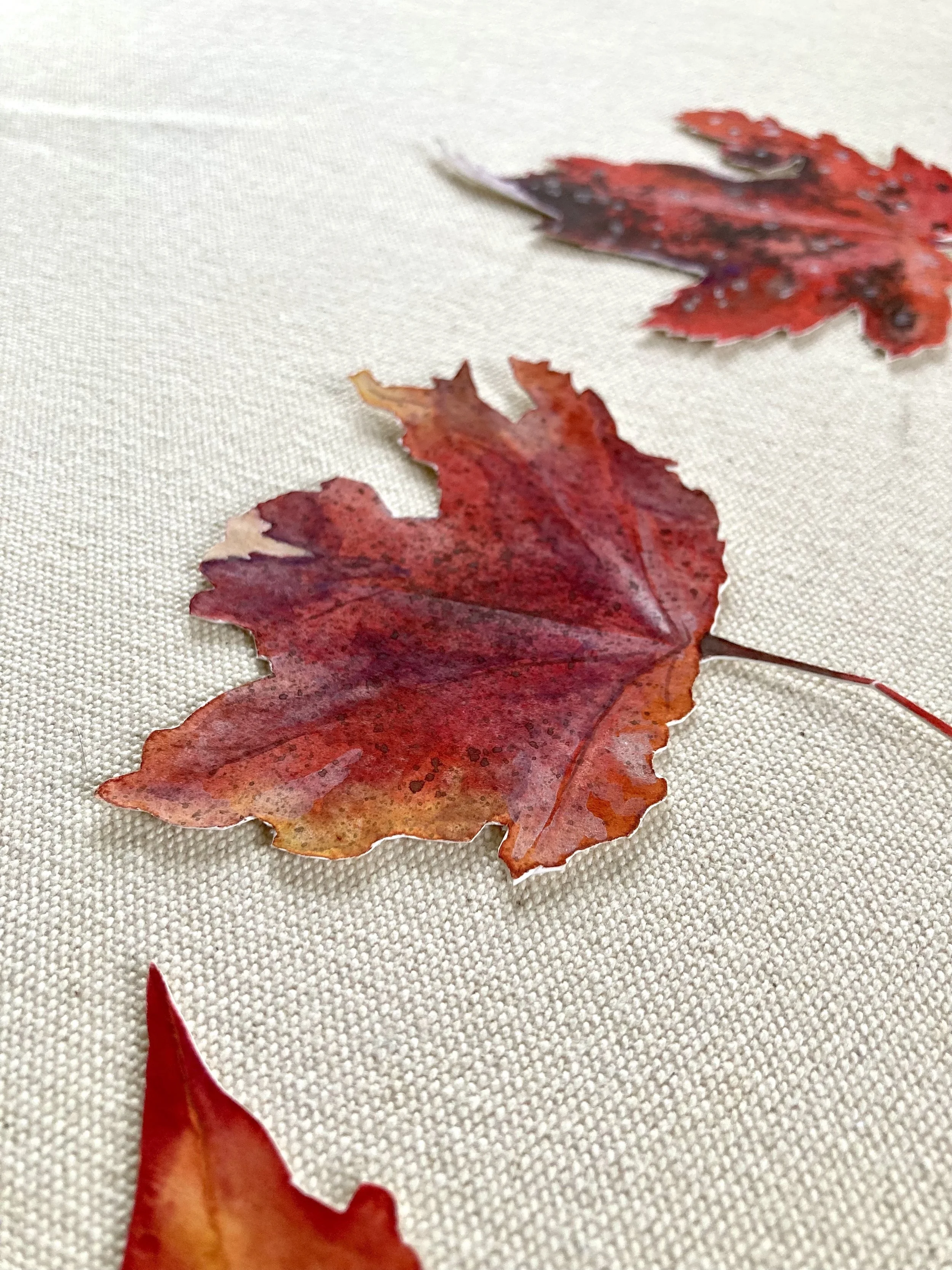 Leaves - Maple 3.jpeg