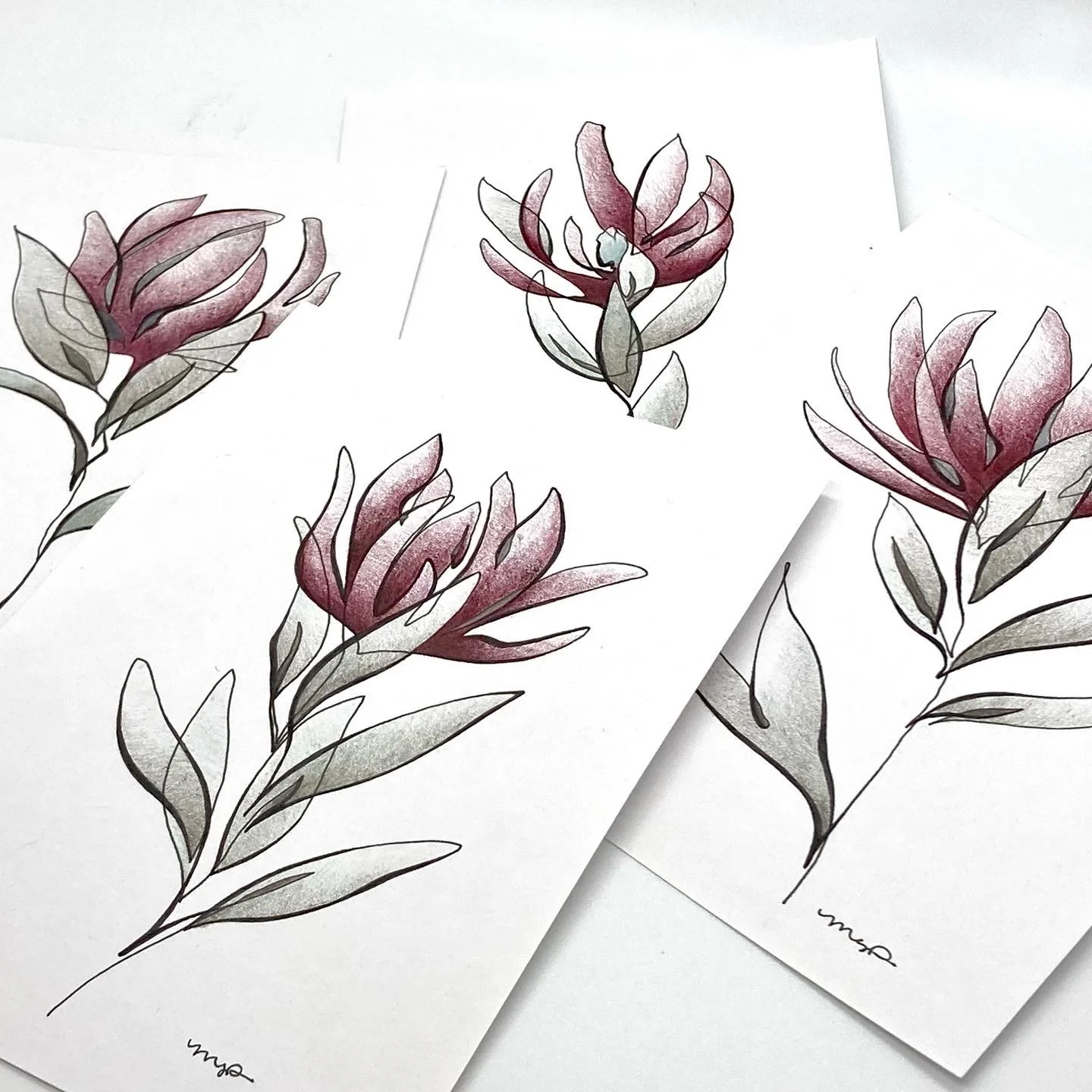 Safari Sunset Group Details 1.JPG