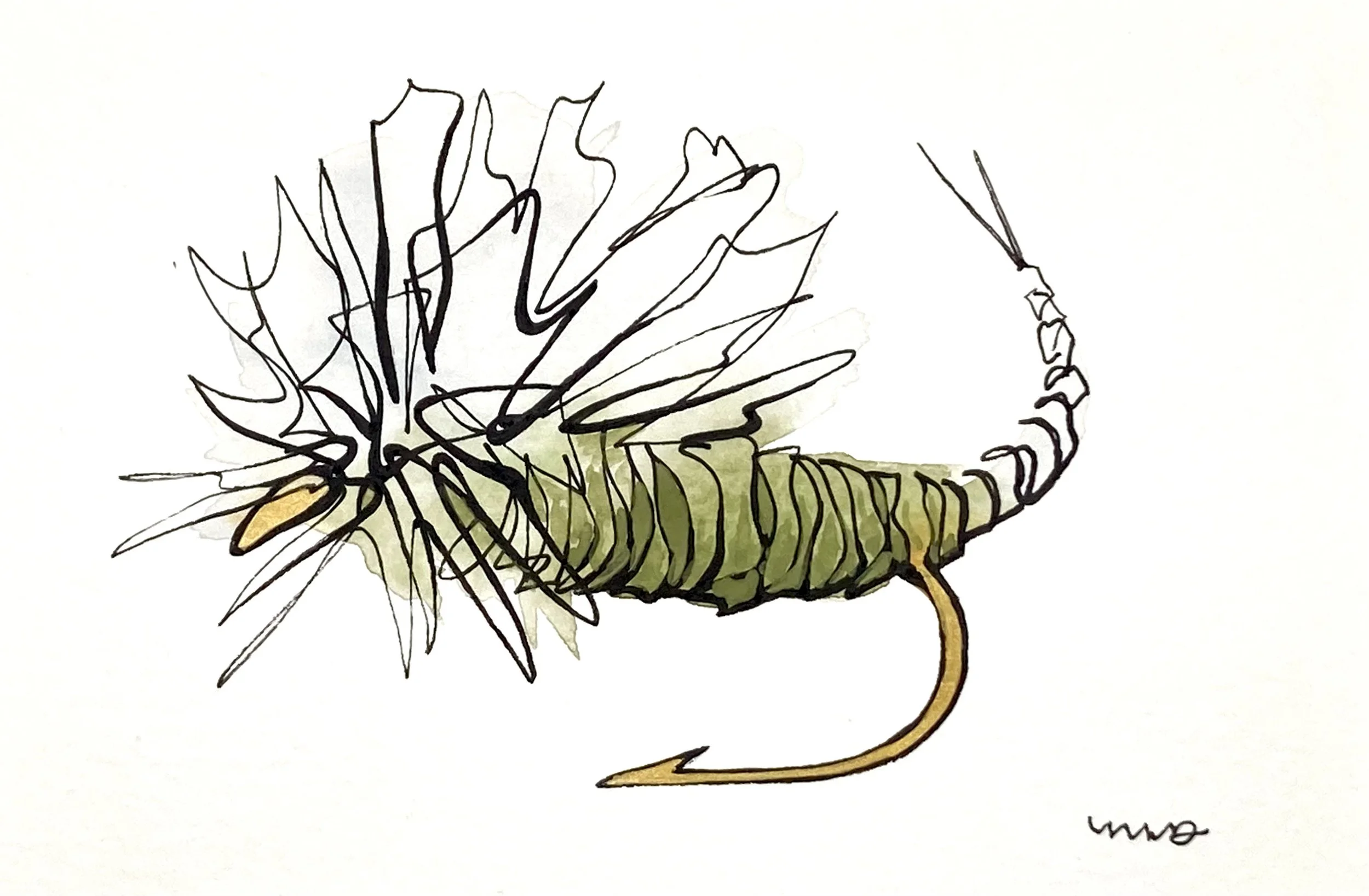 Gold Line Fly 12 - 4x6.jpeg