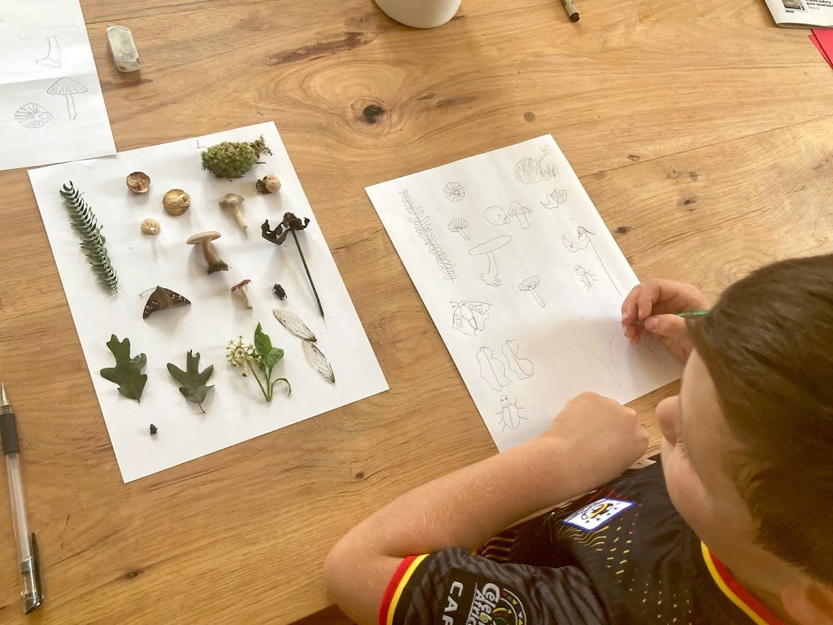 A child drawing pictures of various insects and mushrooms on a sheet of paper, with real mushrooms, leaves, and other natural items placed on a separate sheet next to them on a wooden table.