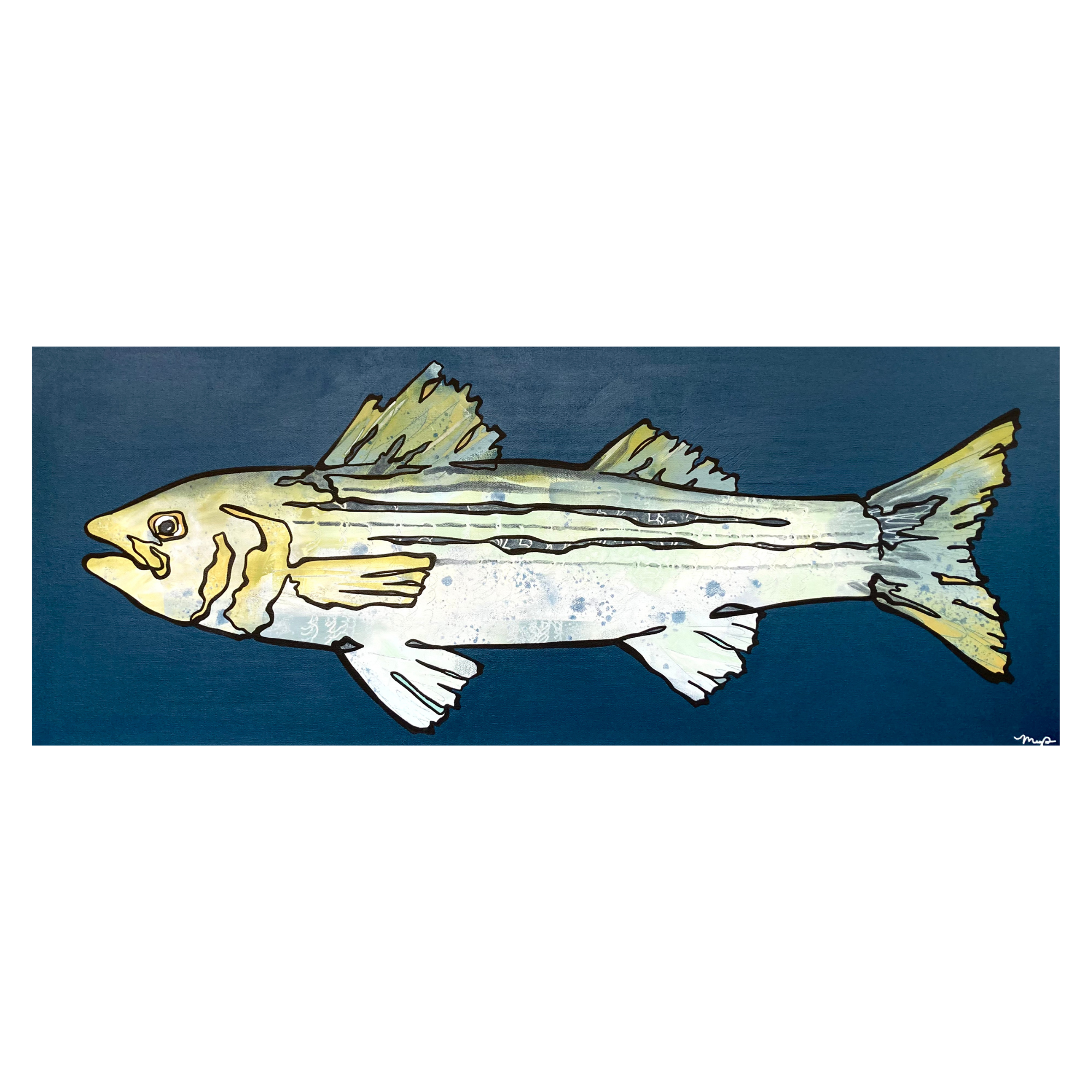 "Striped Bass"