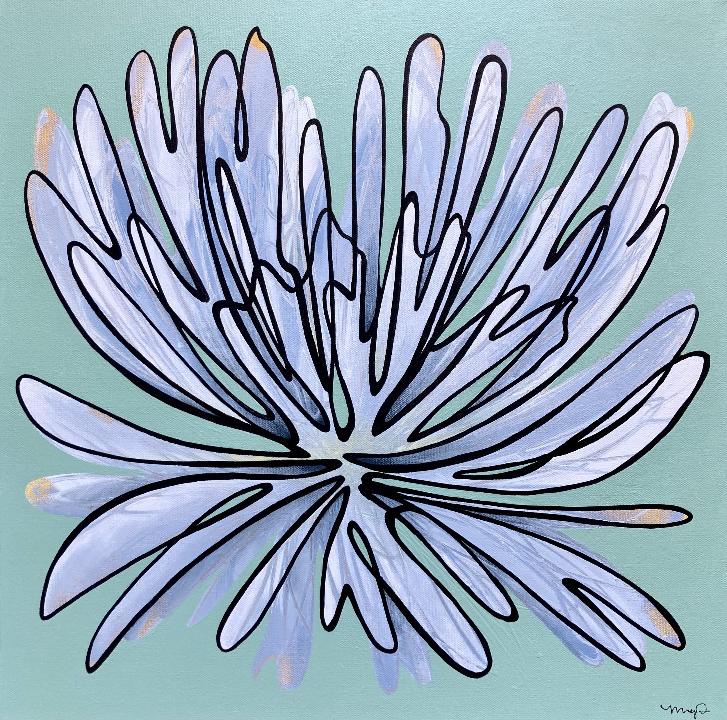 "Chrysanthemum Firework"