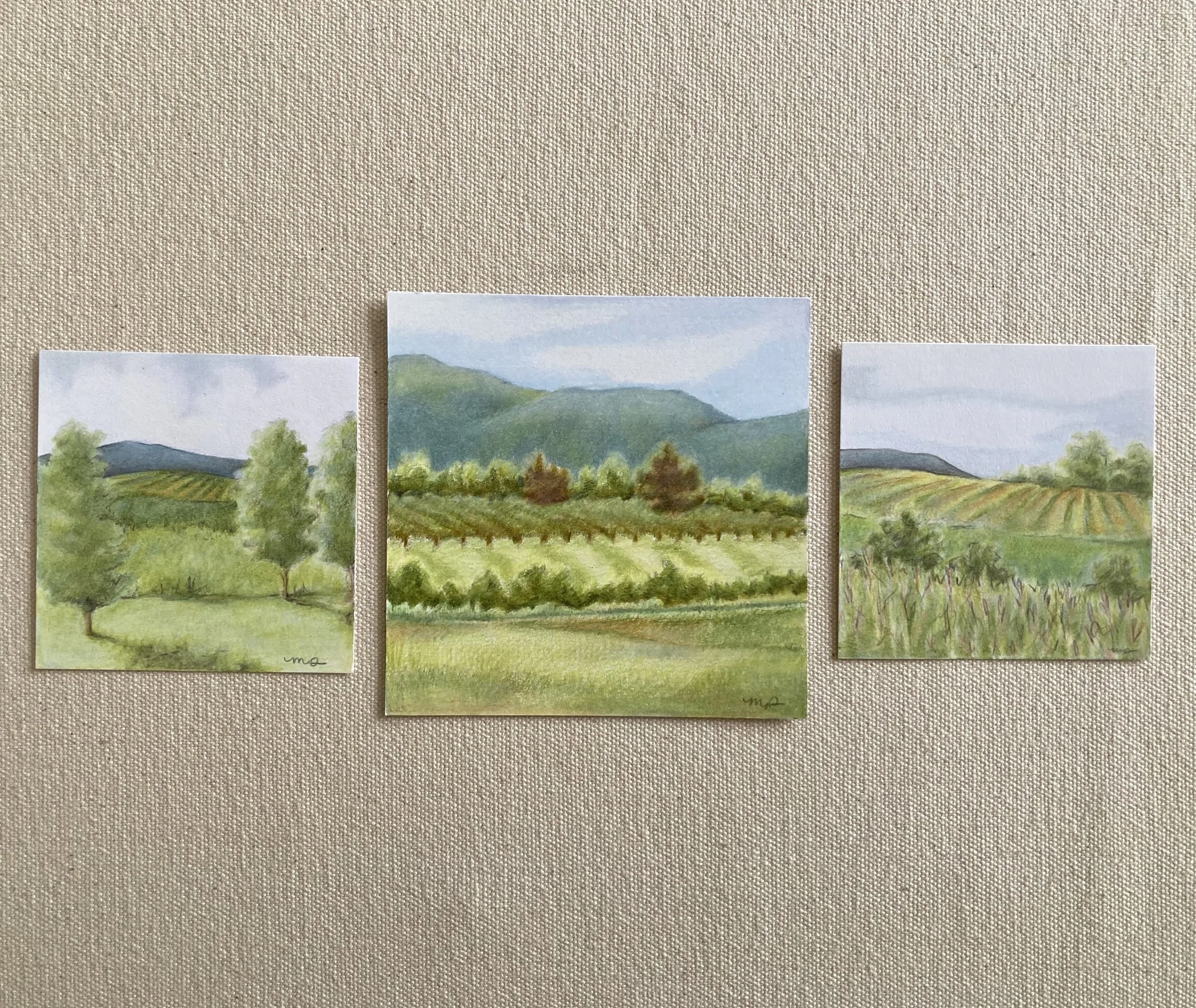 "Barboursville Vineyard Landscapes" - Set