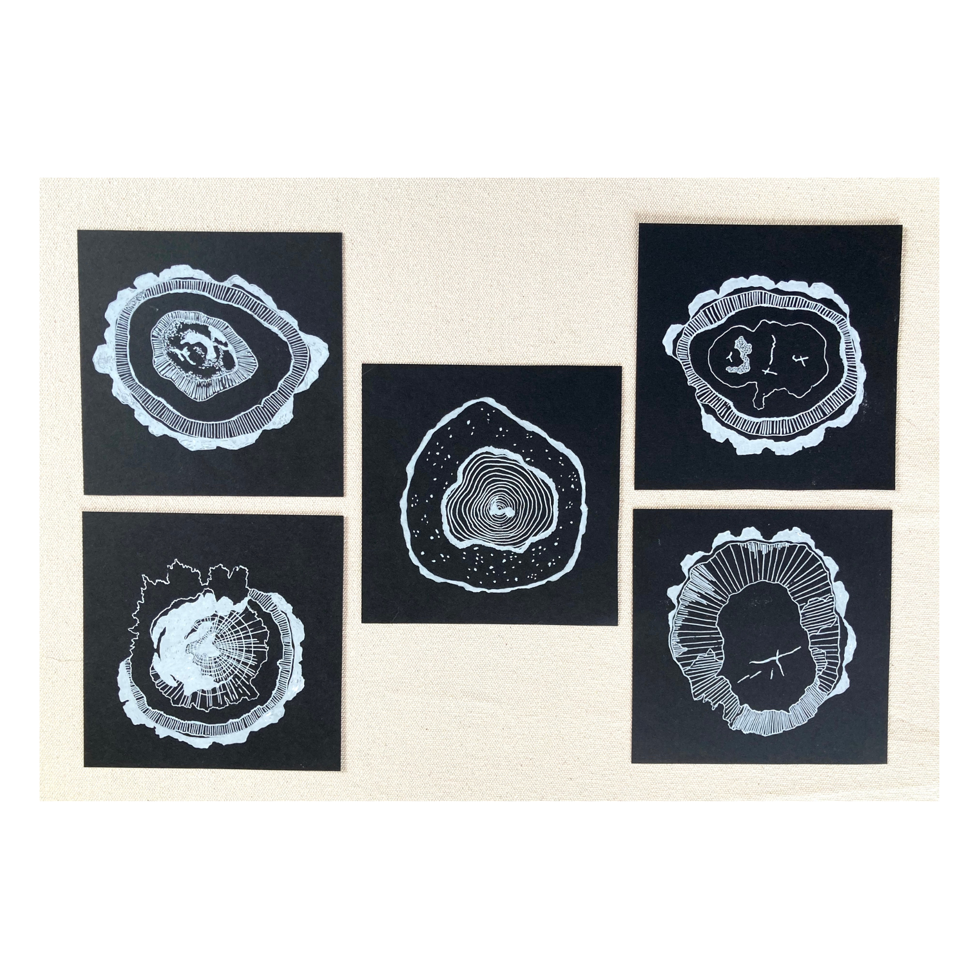 Black and White Woodgrain Studies - Set