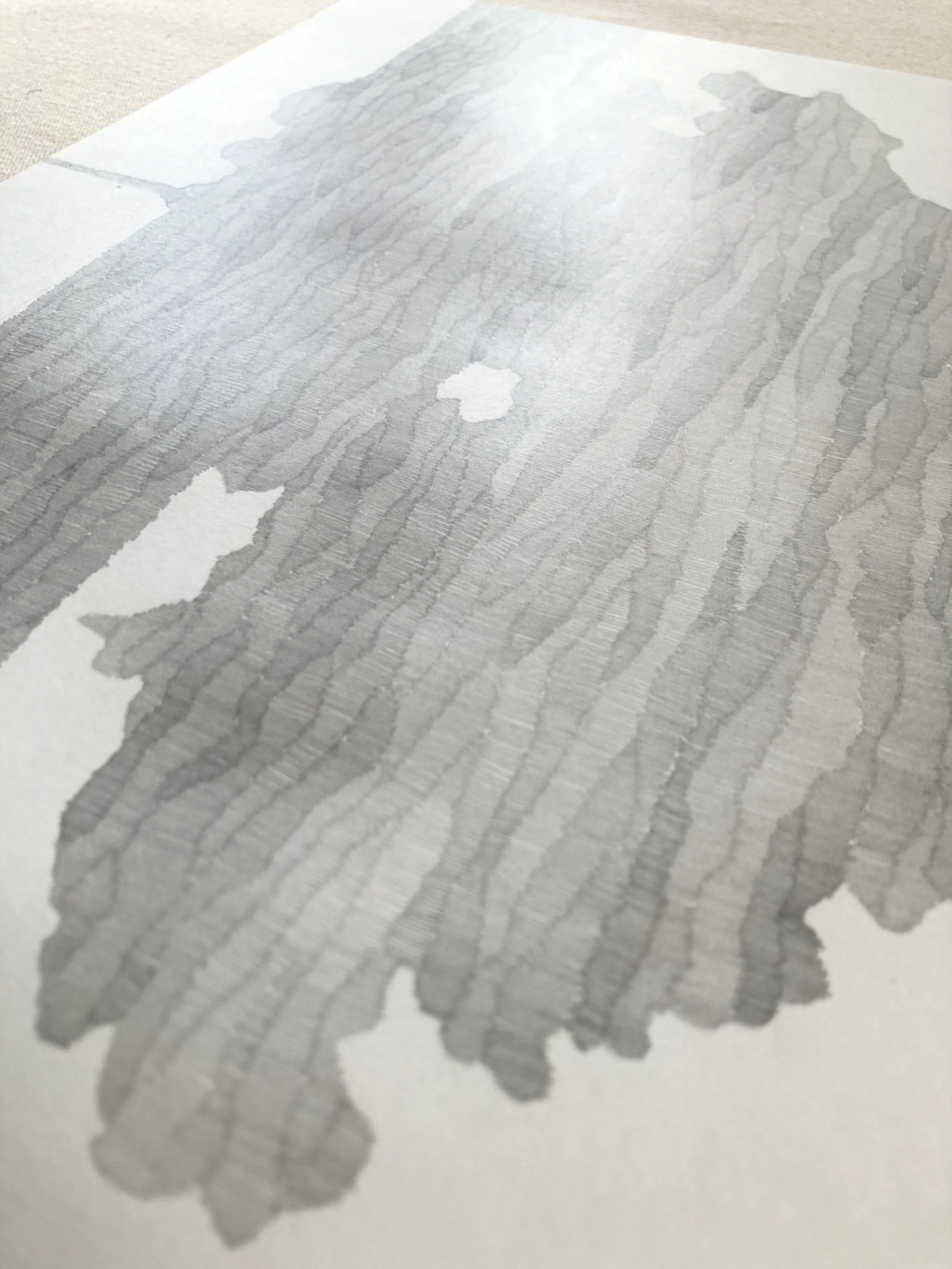 Potted Plant in Window - Detail.jpeg