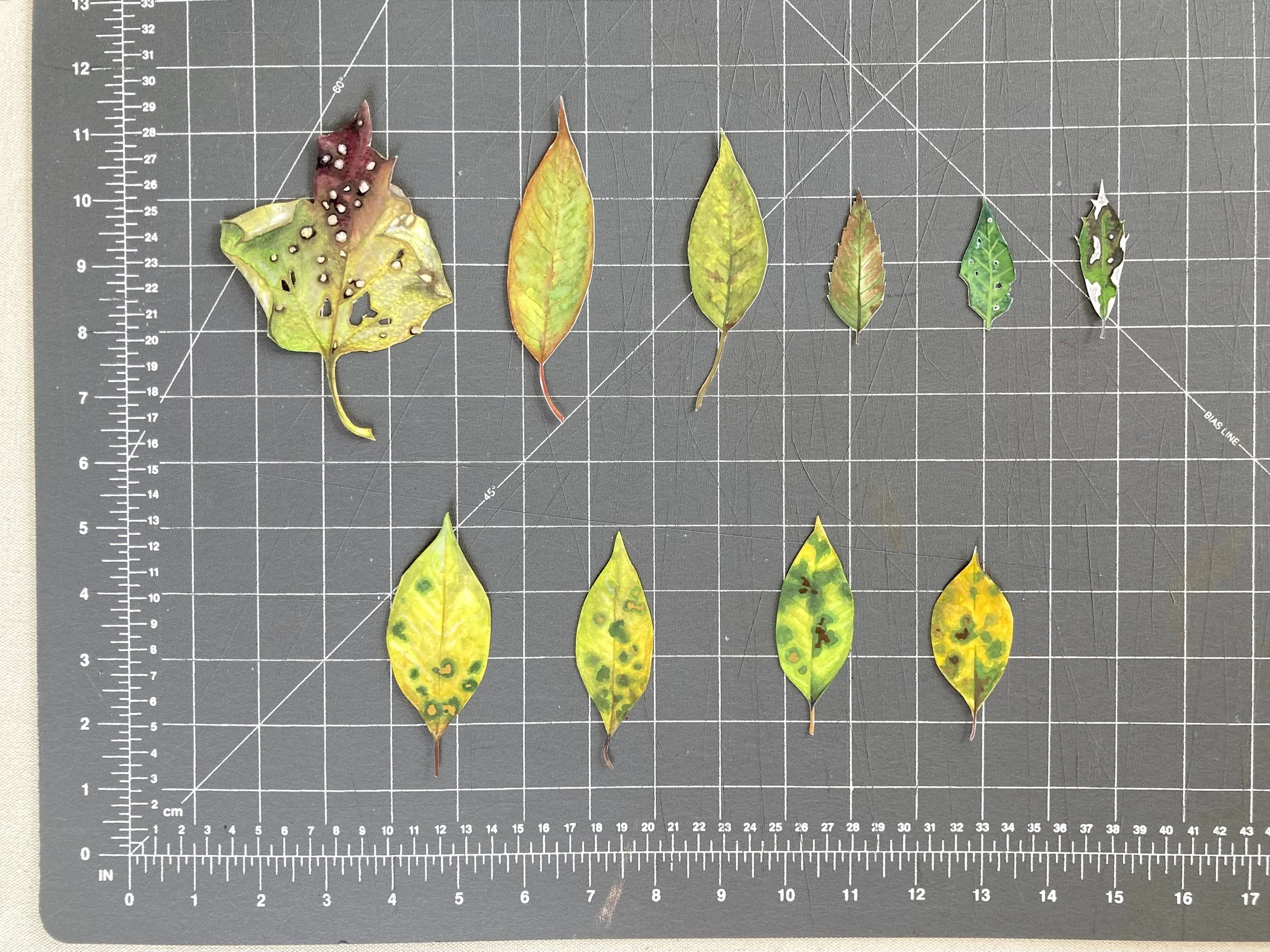 Leaves - Green 2.jpeg