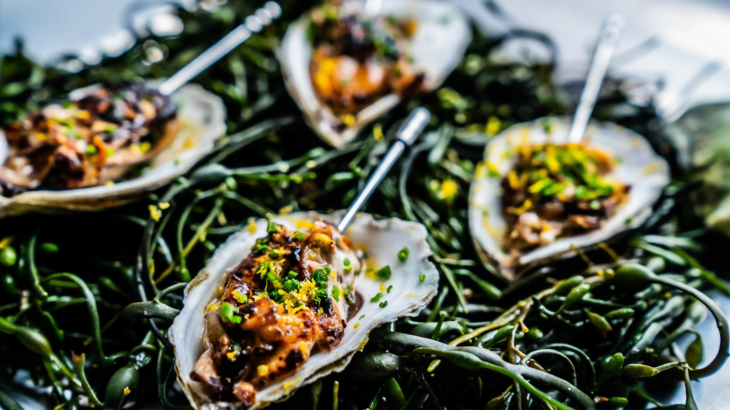 Roasted Beausoleil oysters 