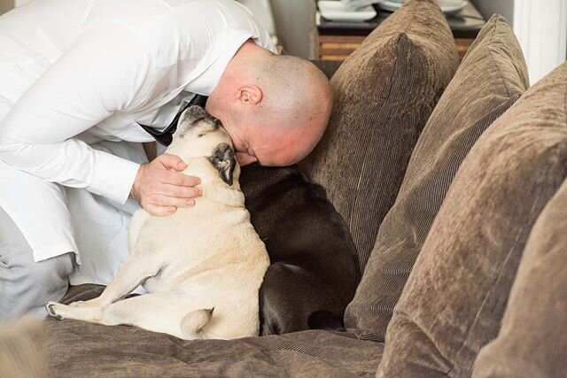 Since it's #NationalPetDay ... Here's Ryan taking a quick break from a food photoshoot to snuggle the pugs! 🐾 Gotta have #PRIORITIES, people! #puglife // 📸: by @mikkelpaige