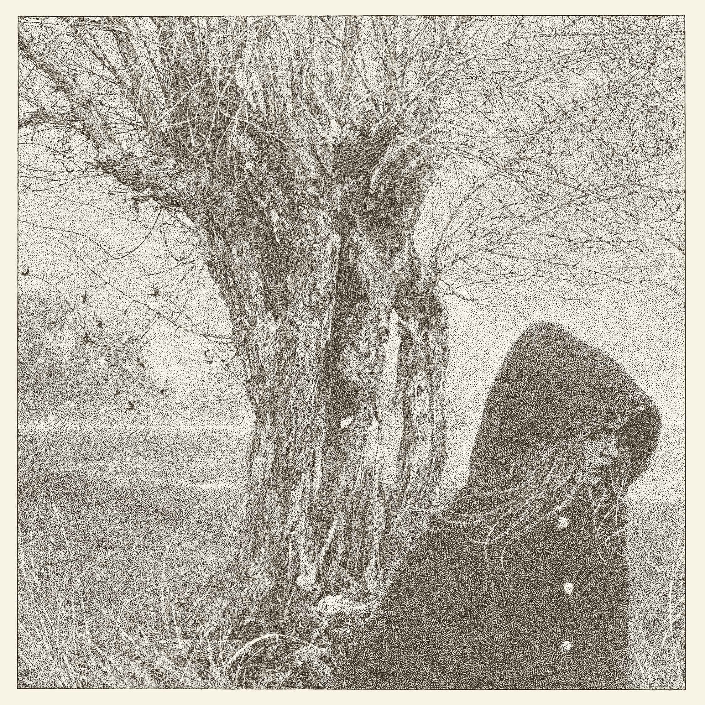 Between the Earth and Sky 