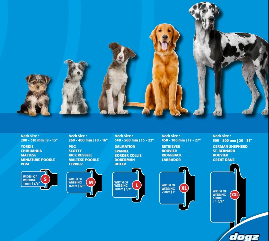 collar sizes.jpg
