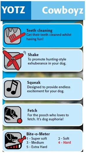 COWBOYZ INFO.jpg