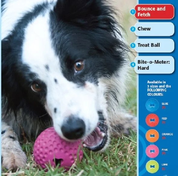 ebay gumz ad.jpg