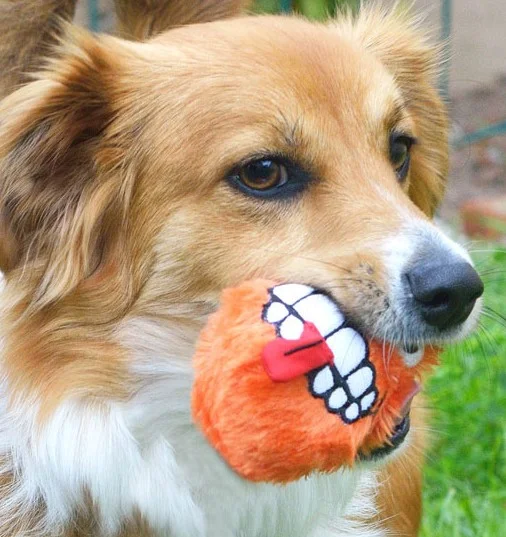 FLUFFY WITH DOG.jpg