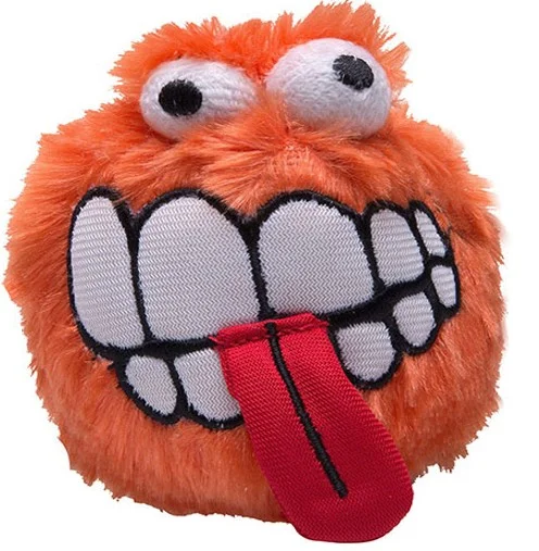 FLUFFY ORANGE.jpg