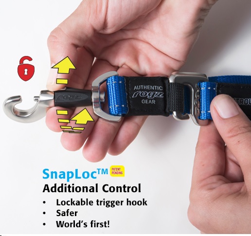 CONTROL SNAP.jpg