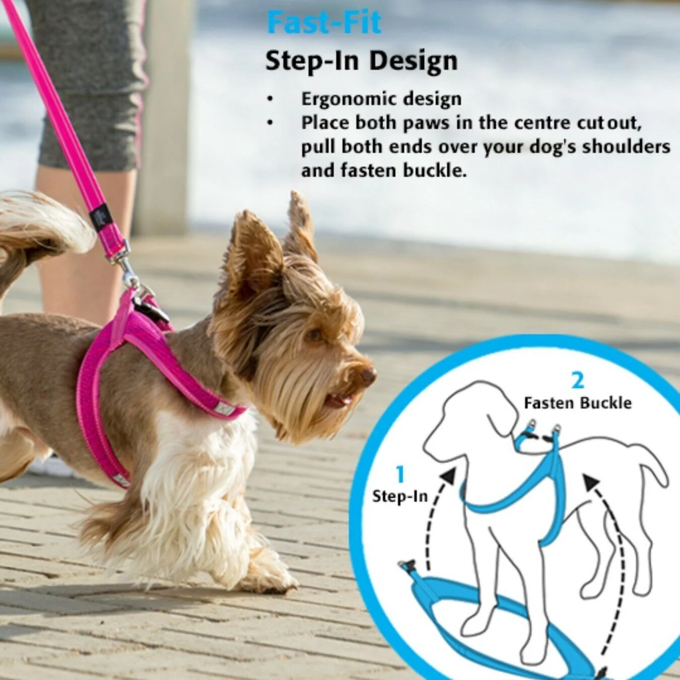 FAST FIT DOG GUIDE.jpg