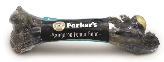 KANGAROO bone FEMUR.jpg