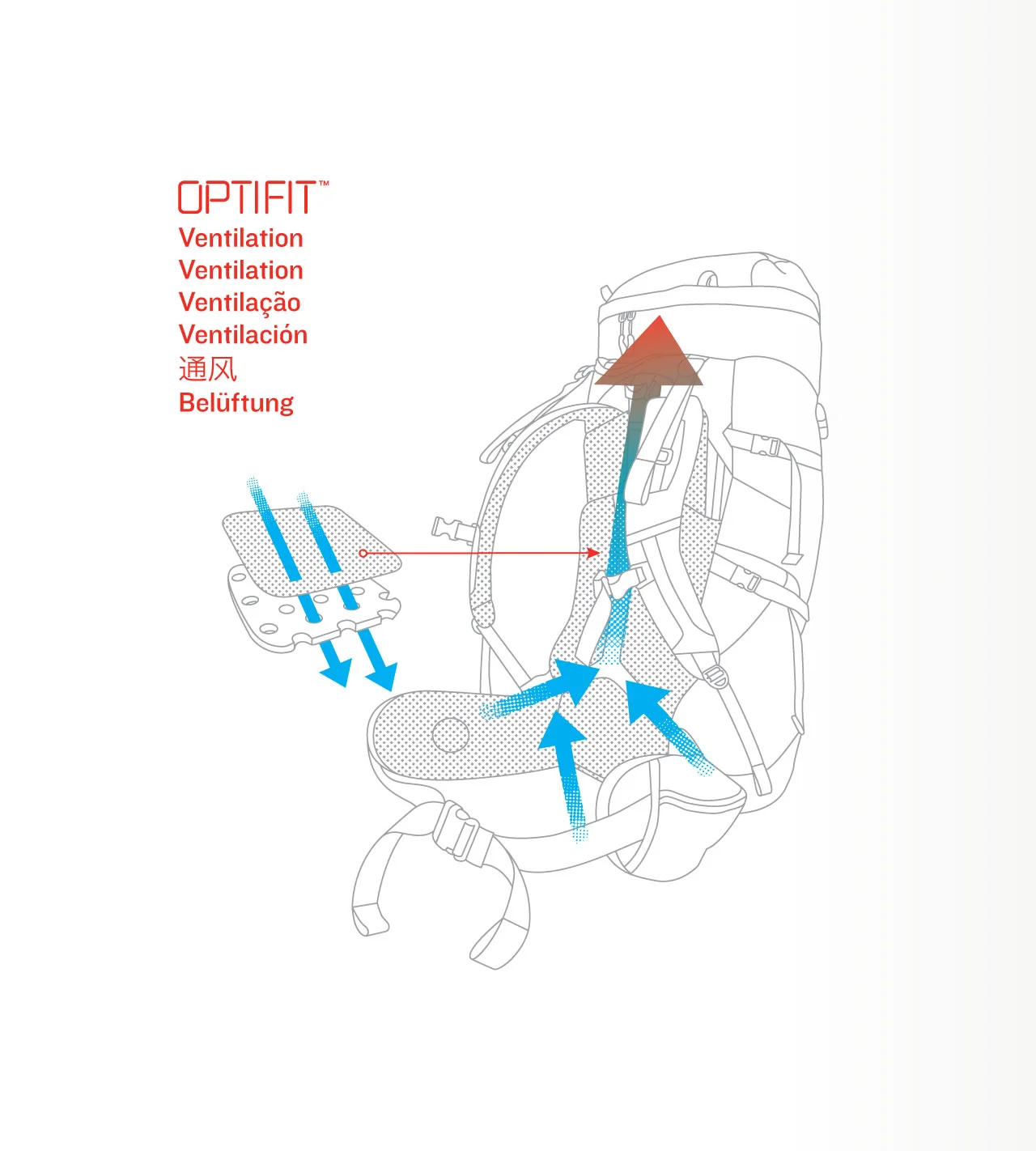 dfd5cf8d57956a2341b1068c5122a76b2e5f66d9_tnf_infographic_1280px.jpg