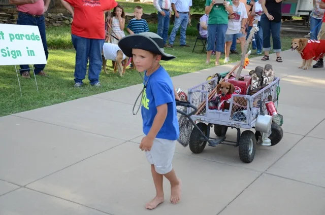 Fandangle Pet Parade