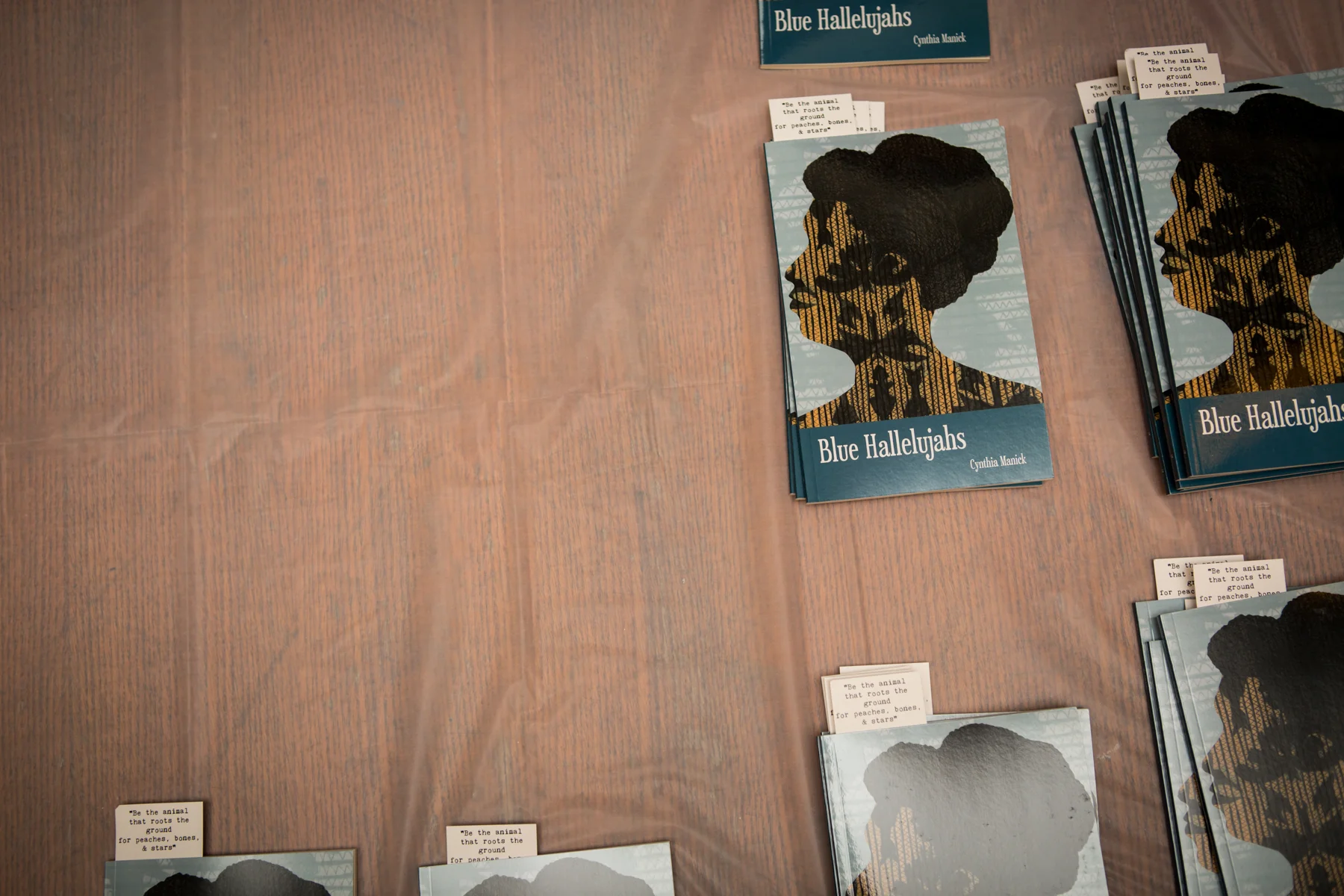 BlueHallelujahs-009.jpg
