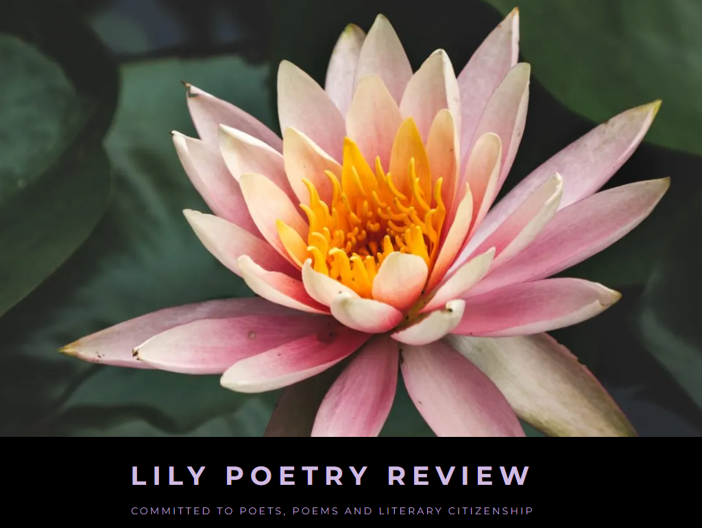Lily Poetry Review Issue 15 Launch - Virtual 