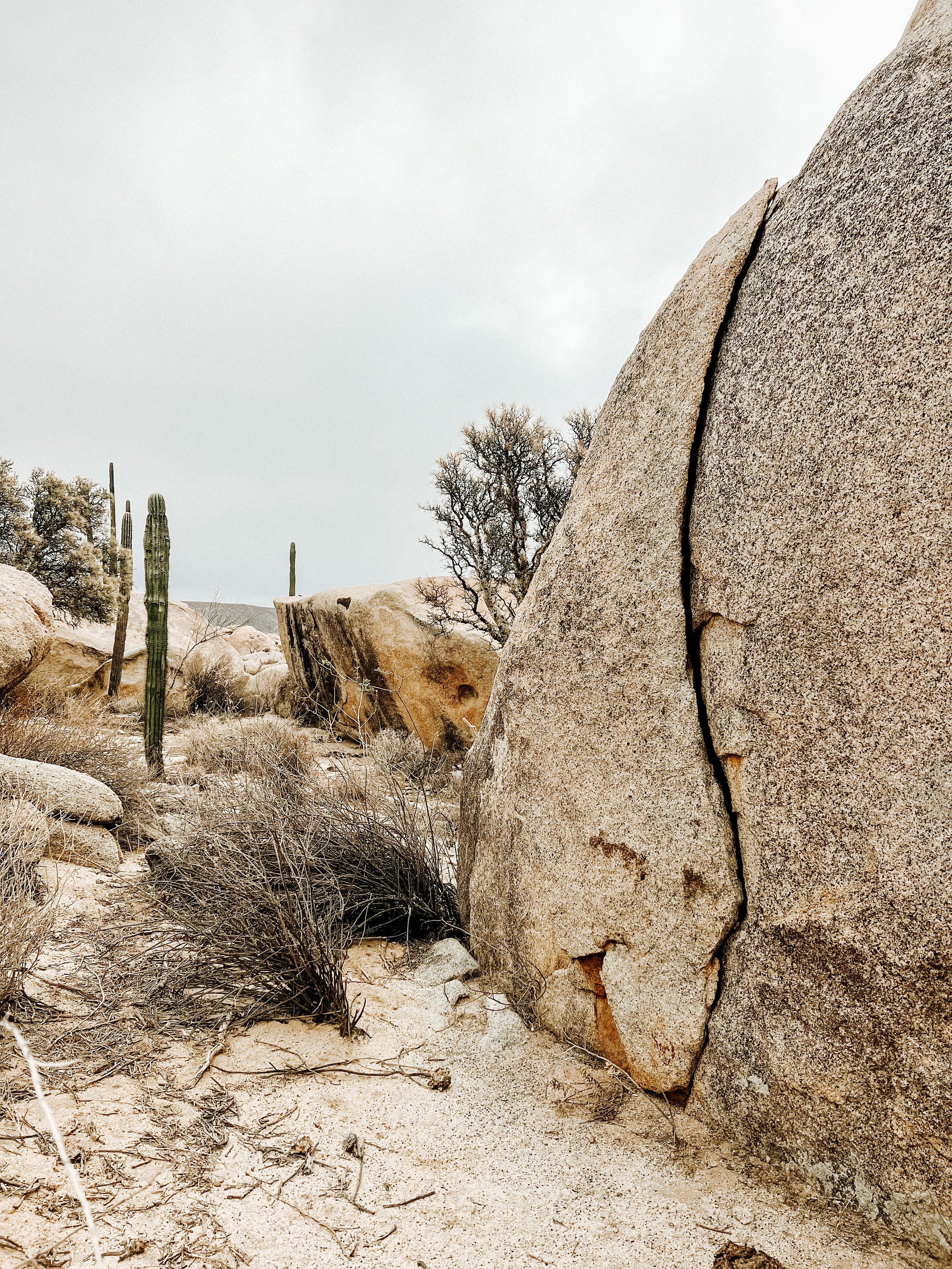 Catavina_Boulder_Camp.JPG