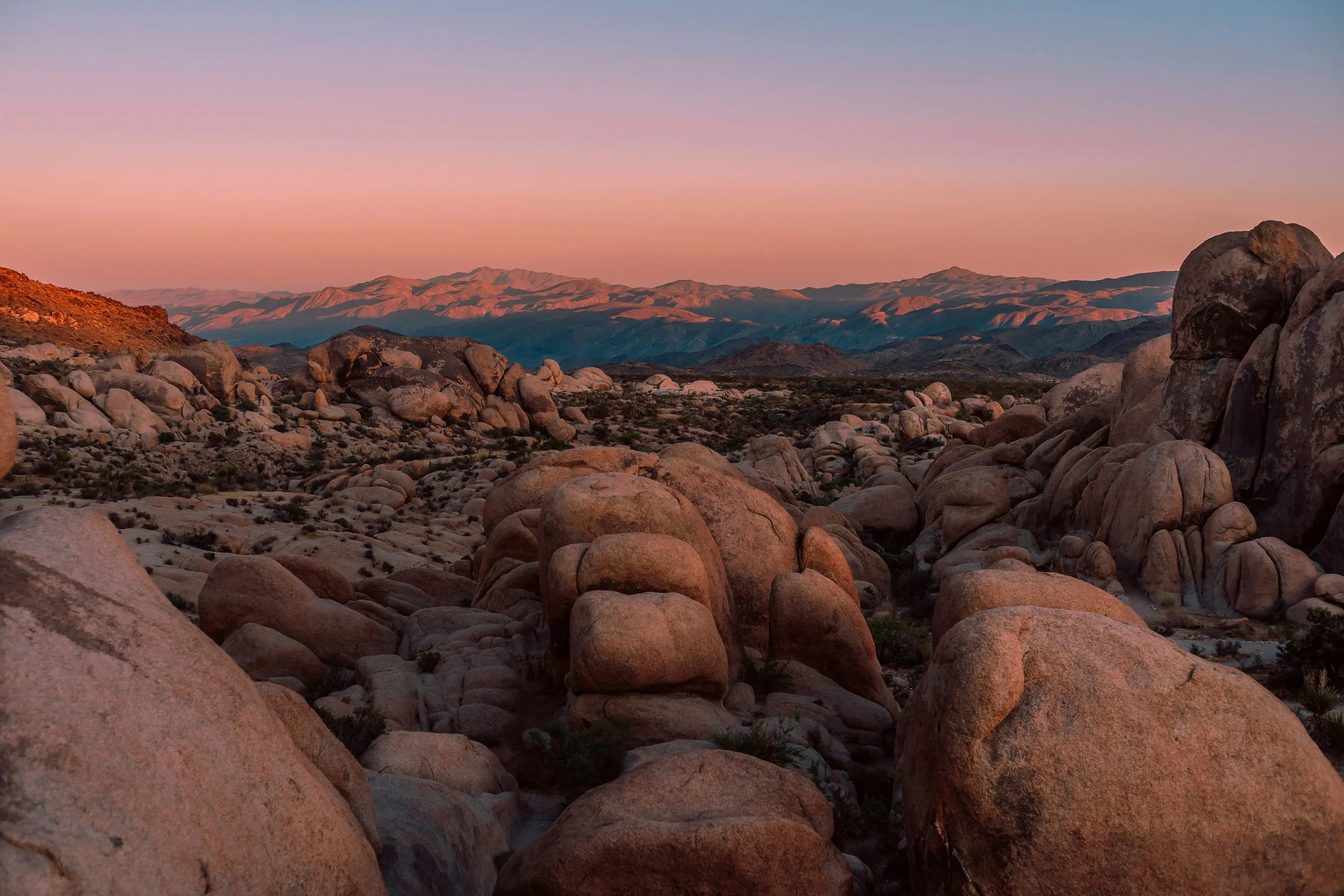 RETREAT | Embodied Ojas Retreat | Joshua Tree, CA 2026