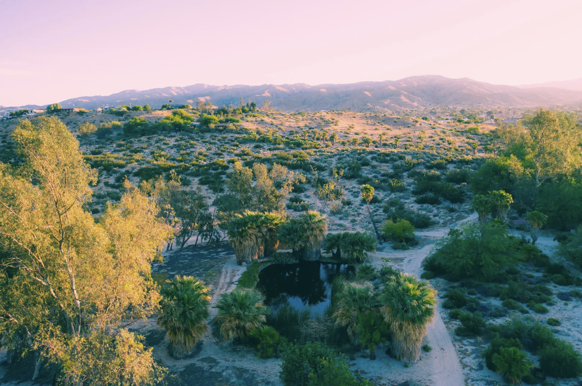 Creative-Roots-Retreat-Desert-Hot-Springs-Process-Art-Therapy.png