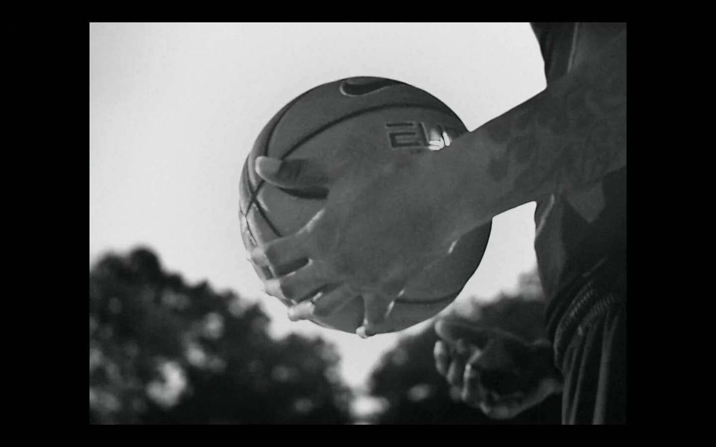 Screen Shot 2020-08-21 at 7.52.32 AM-2.jpg