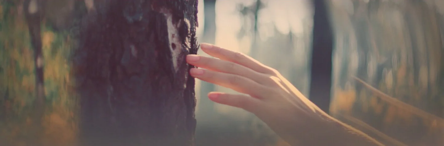 Screen Shot 2020-08-21 at 8.41.56 AM-2.jpg