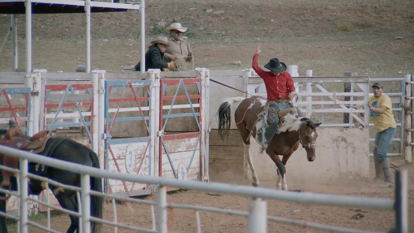 Screen Shot 2019-05-29 at 4.21.26 PM.jpg