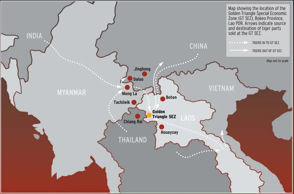 Tiger trade in Asia Source: Creit: EIA Sin City report