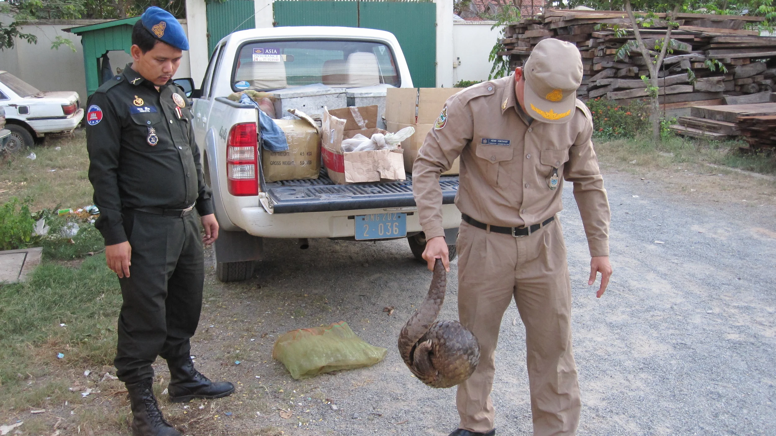 Wildlife rapid rescue team and a rescued pangolin Credit: Wildlife Alliance