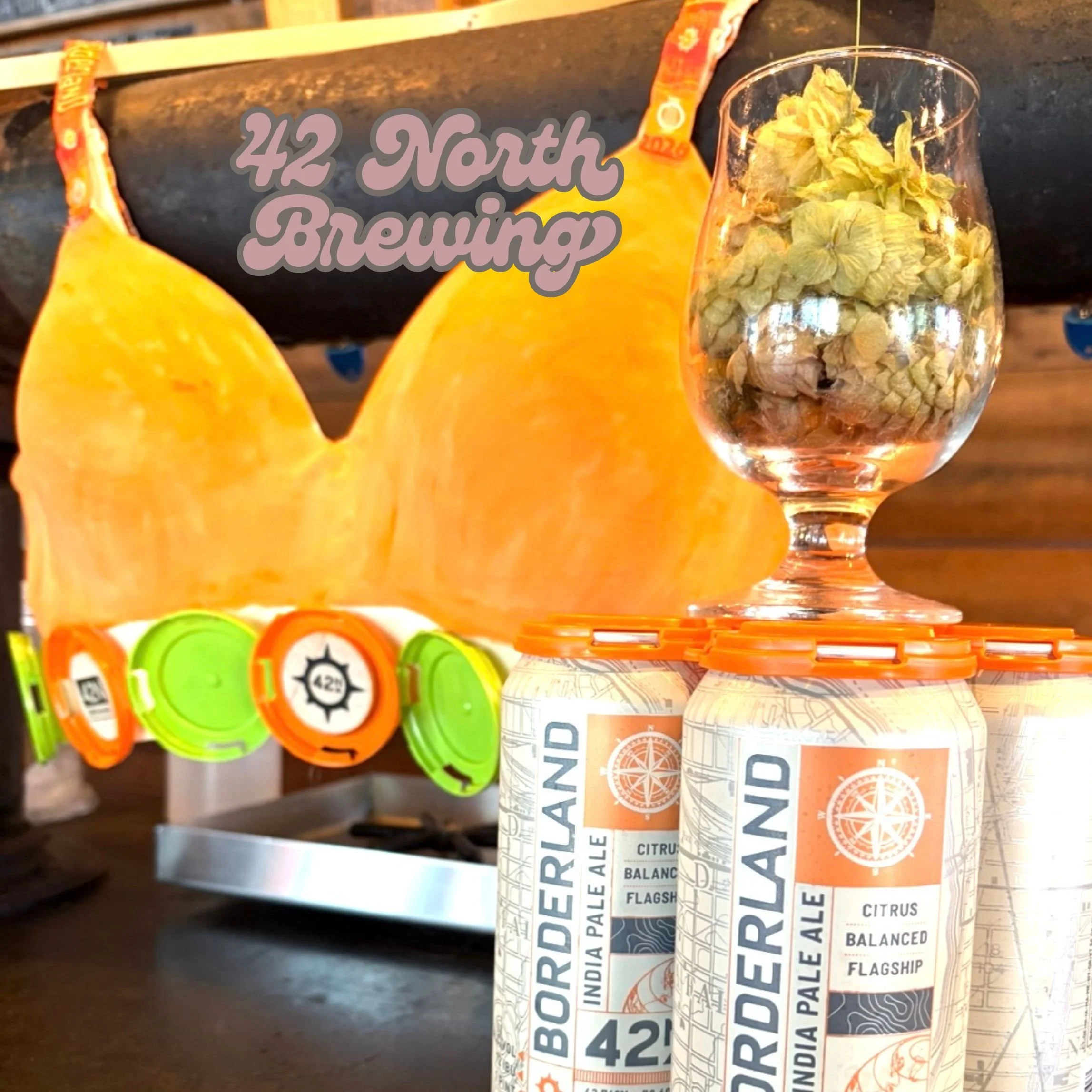 42 North Brewing.jpg